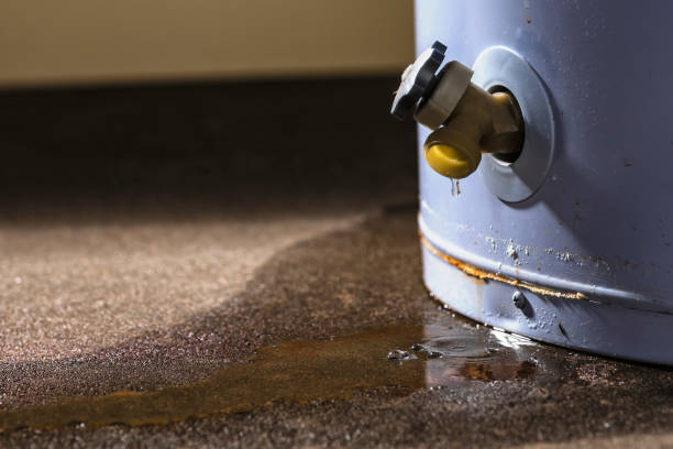 Best Basement water damage restoration  in Hemlock, MI