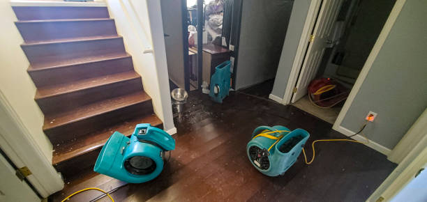 Best 24/7 water damage repair  in Hemlock, MI